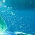 Cenote Diving Whale Sharks In Mexico