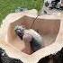 Carving The Stump Tub