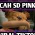 VIDEO VIRAL BOCIL SD MASIH P1NK GAMEPLAY BULLT