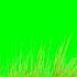 Copyright Free Animated Grass Green Screen Effect Chroma Key Royalty Free Grass Moving