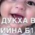 дал декъал войл хьо дашониг