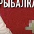 Товарищи опарыши невзоров
