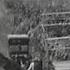 1961г колхоз Политотдел Верхне Чирчикский район Ташкентская обл Узбекистан