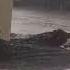 Rain Updates र ज य त 6 7 द वस त अत म सळध र प वस च इश र