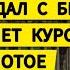 Германия новый скандал с Бербок Золотое время Писториуса Шольц меняет курс Новые протесты