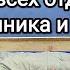 Гимнастика для всех отделов позвоночника и суставов Упражнения при артрозе и остеохондрозе