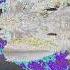 Dimethylcadmium Exe