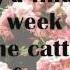 Hozier In A Week Lyrics