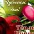 ДОБРОГО УТРА ЧУДЕСНОГО ДНЯ ТЕПЛЫЙ ПРИВЕТ ОТ МЕНЯ доброгоутра чудесногодня