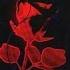 Neither Do I By Stwo Ft Jeremih
