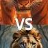 Lion Vs Wild Animals Tiger Lion Leopard Bear