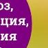 Ароморфоз идиоадаптация дегенерация разбор тестов ЕГЭ по биологии