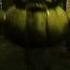 Dread Duckies AI