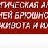 Большаков И Н Брюшная стенка грыжи живота оперативная хирургия и топографическая анатомия