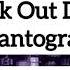 Black Out Days Phantogram SONG EDIT Blackoutdays Phantogram Songedit Music Trend Tiktok