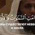 Мансур ас Салим чтение Коран