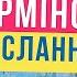 МЕРЩІЙ ДИВИСЬ Термінове послання передали просвітленому характернику Чому в України є 2 роки ХОРС