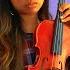 Paradise By Rude α SK8 The Infinity Opening Violin Cover