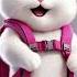 Top Cutest Cat Dance APT Song Style Cat Apt Funny Cutecat