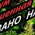 Аквариум без подмен воды научное обоснование содержания Основы содержания растительного аквариума