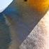 Mourning Dove Facts Their WINGS WHISTLE Animal Fact Files