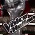 The Voice Of Holland Official Extended Intro Instrumental