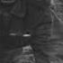 Немец не должен это видеть окопная правда Воспоминания Лапшина Н Ф военные истории 1941 1945