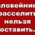 Владимир Боглаев на канале Точка Сборки Человейники расселить нельзя оставить