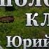 Полосатые клеша Юрий Шкитун