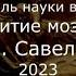 С В Савельев Раннее развитие мозга человека