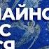 Не случайно Христос родился в хлеву А И Осипов