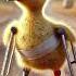 A Disabled Duckling Helps His Cat Friend DuckRescue CuteAnimals AnimalRescue