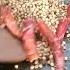Food Making Is Fun It Makes Me Happy Youtubeshorts Shortsvideo Video