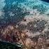 Giant Grouper Ocean Trip By ZERO PROJECT The Amazing Underwater Documentary