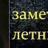 Ф М Достоевский Зимние заметки о летних впечатлениях Достоевский зимние заметки аудиокнига