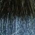 Enchanting You To Sleep With Nature Heavy Rain Sounds And Gentle Thunder In A Palm Tent At Midnight