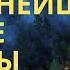 Лесные пожары в Сибири 2019 и 5 крупнейших лесных пожаров XXI века