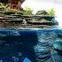 Legendary Ocean Titan Tamed In ARK Genesis Deep Sea King Unlocked
