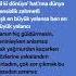 Edis Yalancı Speed Up Shorts