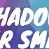 The Shadow Of Your Smile Alto Sax Solo Transcription