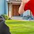 The World S Most Dangerous Kid Destroyed My House