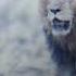 The Lion King2 Zira Scarfs Kovu