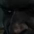 AssassinCreed Чёрная Борода Shorts