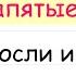 Запятые между однородными членами предложения Где ставит запятые