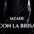 Mzade Con La Brisa Feat Foudeqush Ludwig Göransson