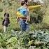 The Mute Mother And The Doctor Went Looking To Buy Land For A New Home For Mother And Child