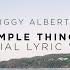 Ziggy Alberts Simple Things Land Sea Official Lyric Video