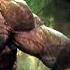 Hellboy Vs Cave Troll Hellboy 2 The Golden Army CLIP