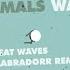 Glass Animals Heat Waves Labradorr Remix