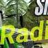 Farming Simulator 17 Pop Radio FM